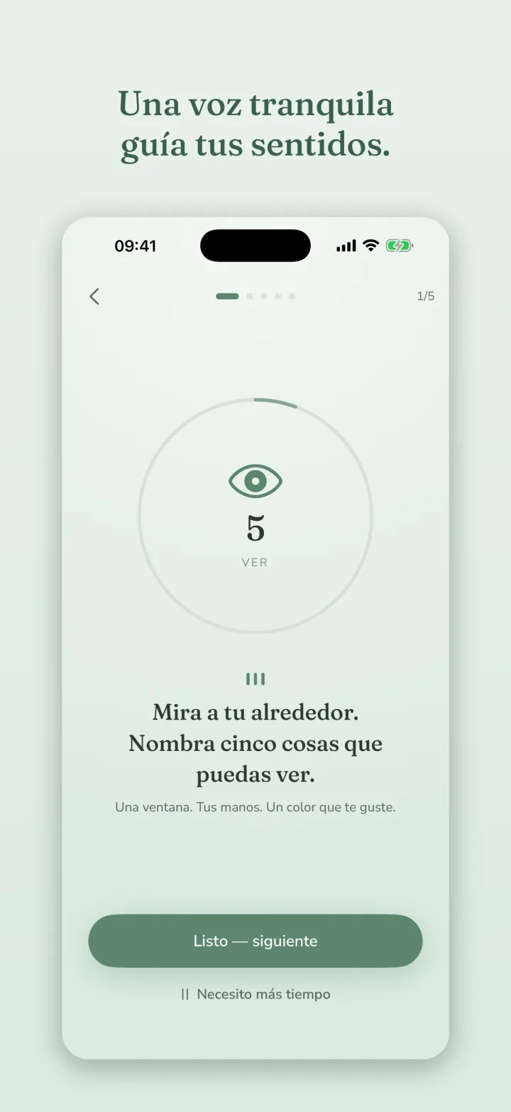 5-4-3-2-1, guiado por una voz calmada